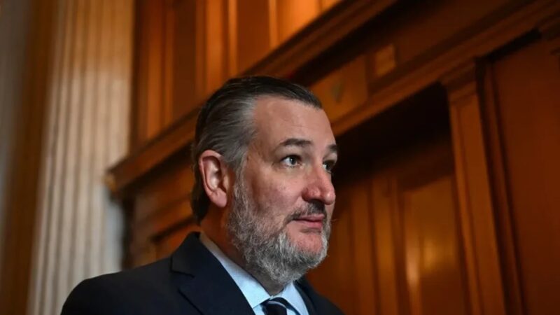 Ted Cruz Exige Elecciones Libres en Venezuela para 2027