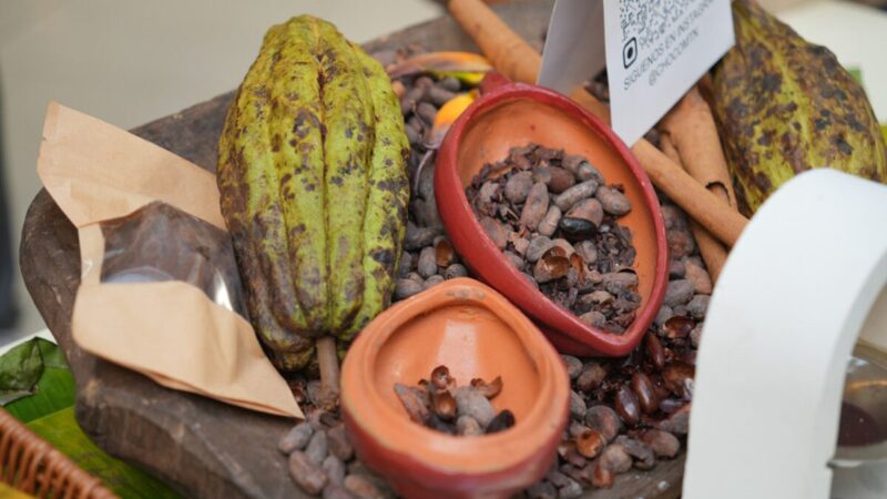 Festival del Chocolate Dominicano: Un Encuentro de Sabores y Cultura en Santo Domingo