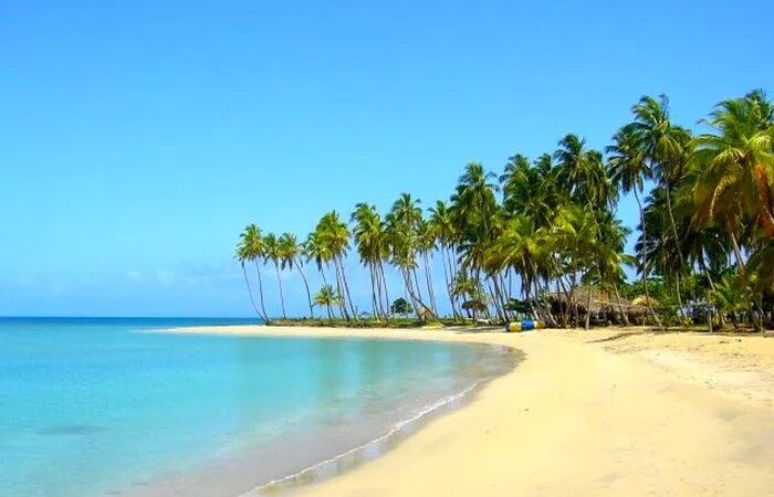Miches Exige Regulación de Vendedores Ambulantes en Playa Esmeralda