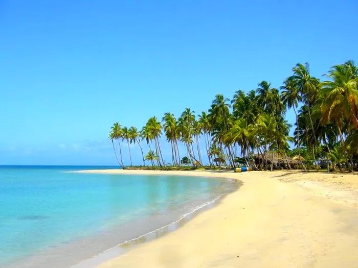 Miches Exige Regulación de Vendedores Ambulantes en Playa Esmeralda