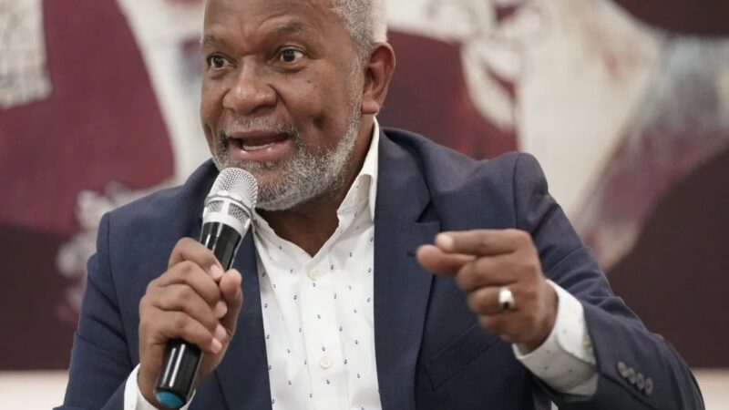 Melanio Paredes Alerta sobre la Crisis Educativa en República Dominicana