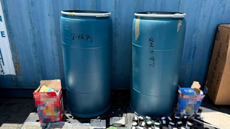 DNCD Desmantela Operación de Marihuana en Haina y Detiene a Mujer en Santiago