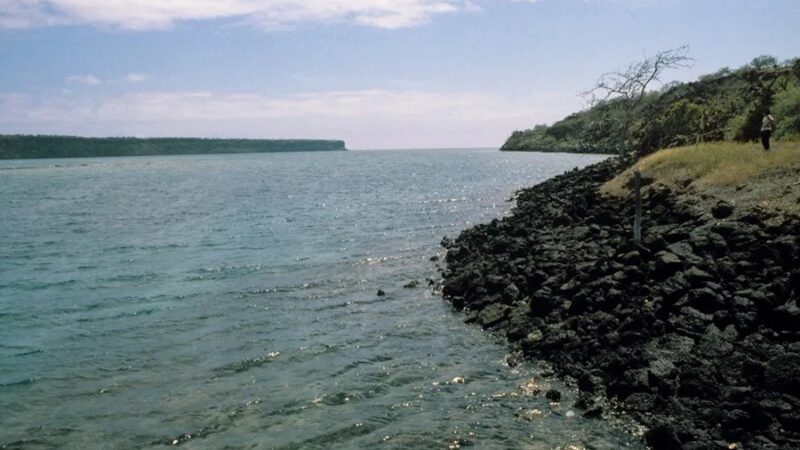 Julio de 2026: Récord Histórico de Temperatura en la Superficie del Mar