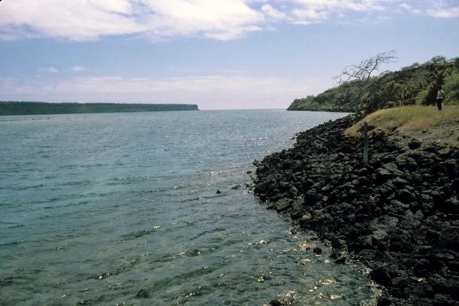 Julio de 2026: Récord Histórico de Temperatura en la Superficie del Mar