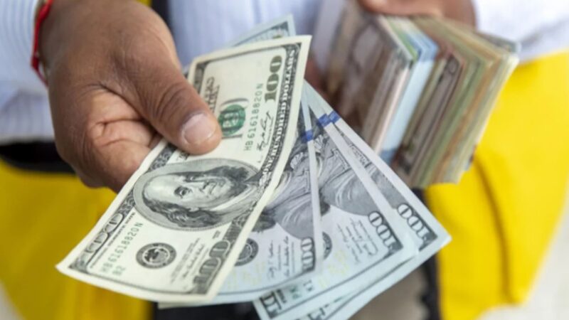 Estabilidad del Dólar en República Dominicana: Análisis y Proyecciones