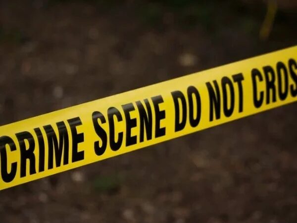 Trágica Disputa por Corte de Árboles Deja un Muerto en Santiago