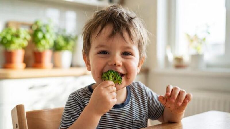 Claves para una Alimentación Saludable en la Infancia