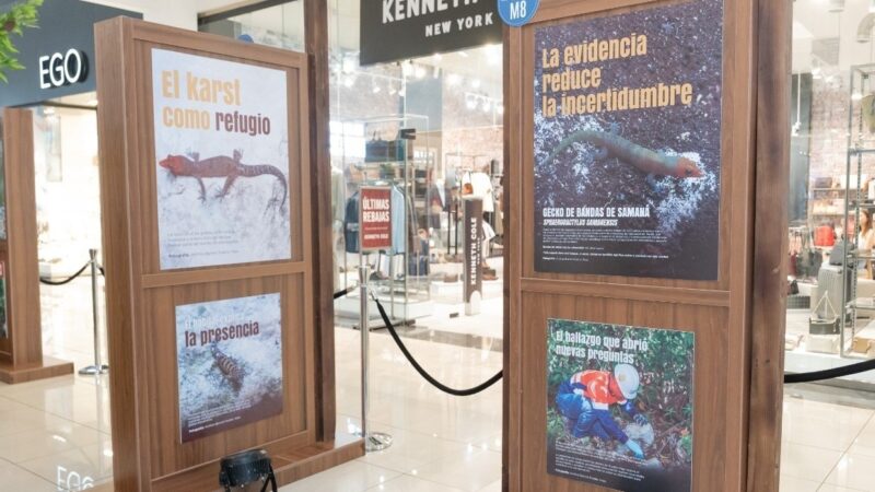 Barrick Pueblo Viejo Destaca su Compromiso Ecológico en Nueva Exposición Fotográfica