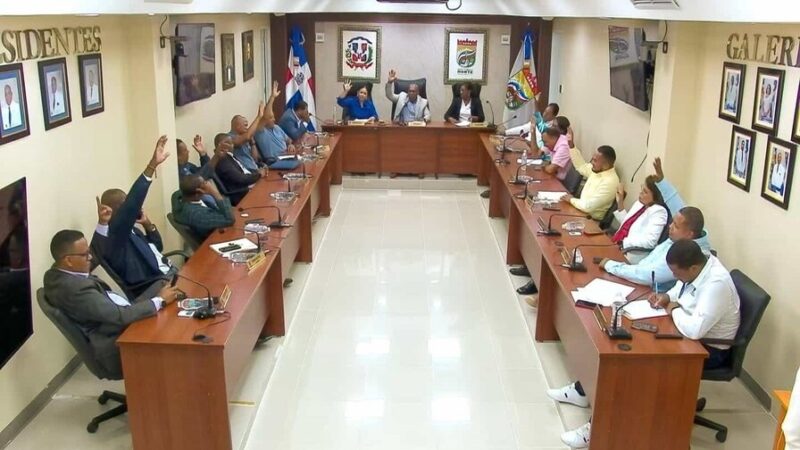 Ayuntamientos del Gran Santo Domingo: Falta de Transparencia en Resoluciones Municipales