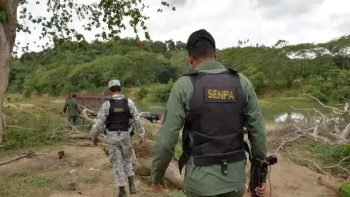 Desafíos en la Protección de Áreas Naturales: La Insuficiencia de Guardaparques en República Dominicana