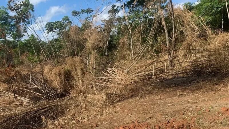 Monte Plata: Conflictos Territoriales y Desafíos Judiciales Persisten