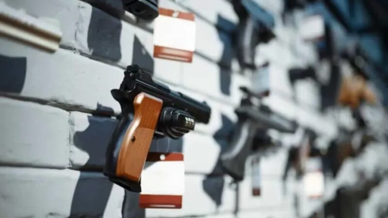 Contradicciones en la Importación y Venta de Armas en República Dominicana