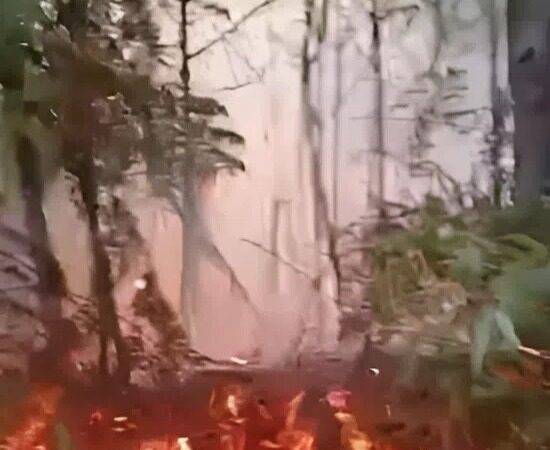 Incendios Forestales en Áreas Protegidas de RD: Un Desafío Nacional