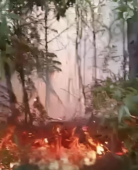 Incendios Forestales en Áreas Protegidas de RD: Un Desafío Nacional