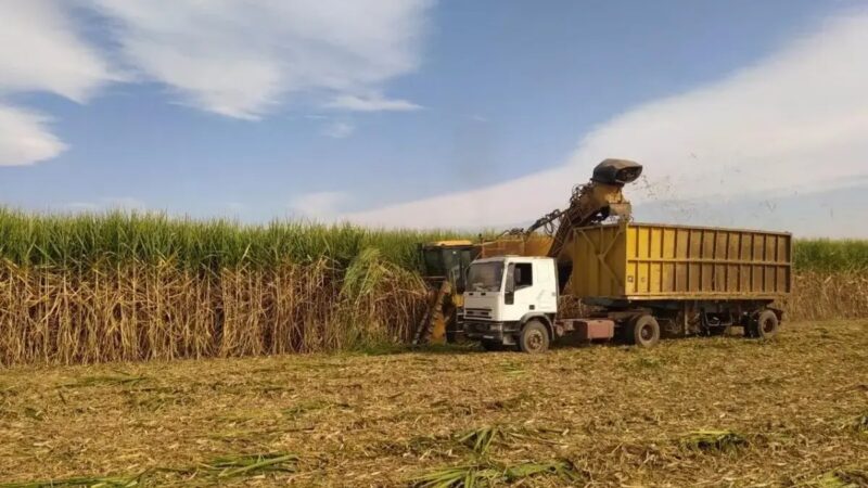 República Dominicana Aumenta su Cuota Azucarera en EE.UU. a 201,274 Toneladas