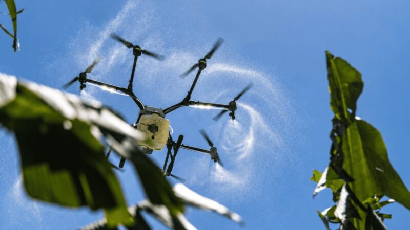 Revolución Tecnológica y Generacional en el Agro Dominicano
