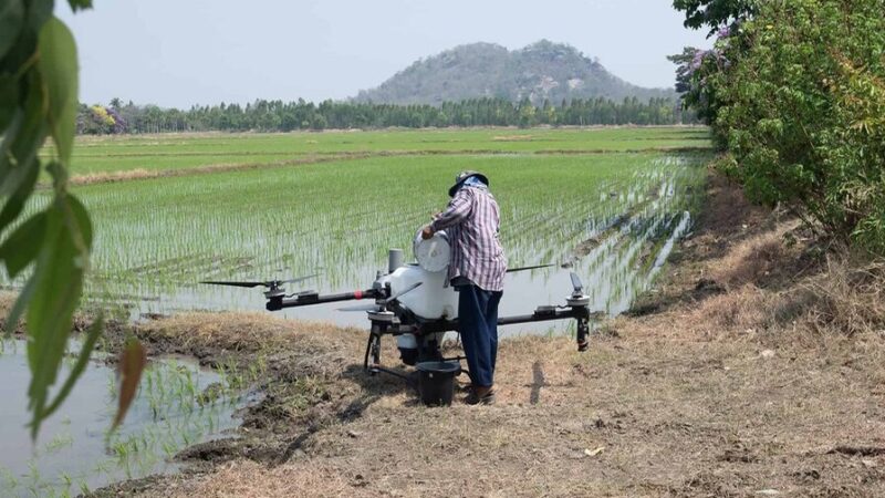 Revolución Tecnológica en el Campo Dominicano: El Futuro de la Agroindustria