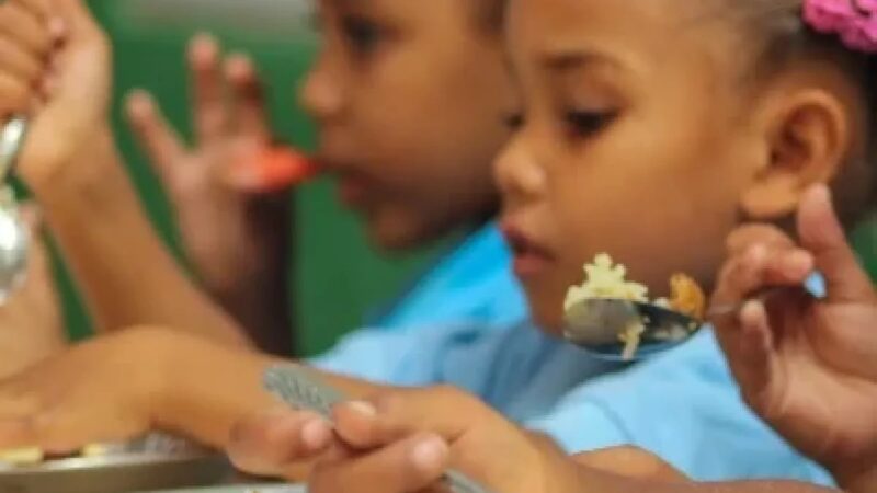 INABIE Suspende Proveedores por Irregularidades en Programa de Alimentación Escolar