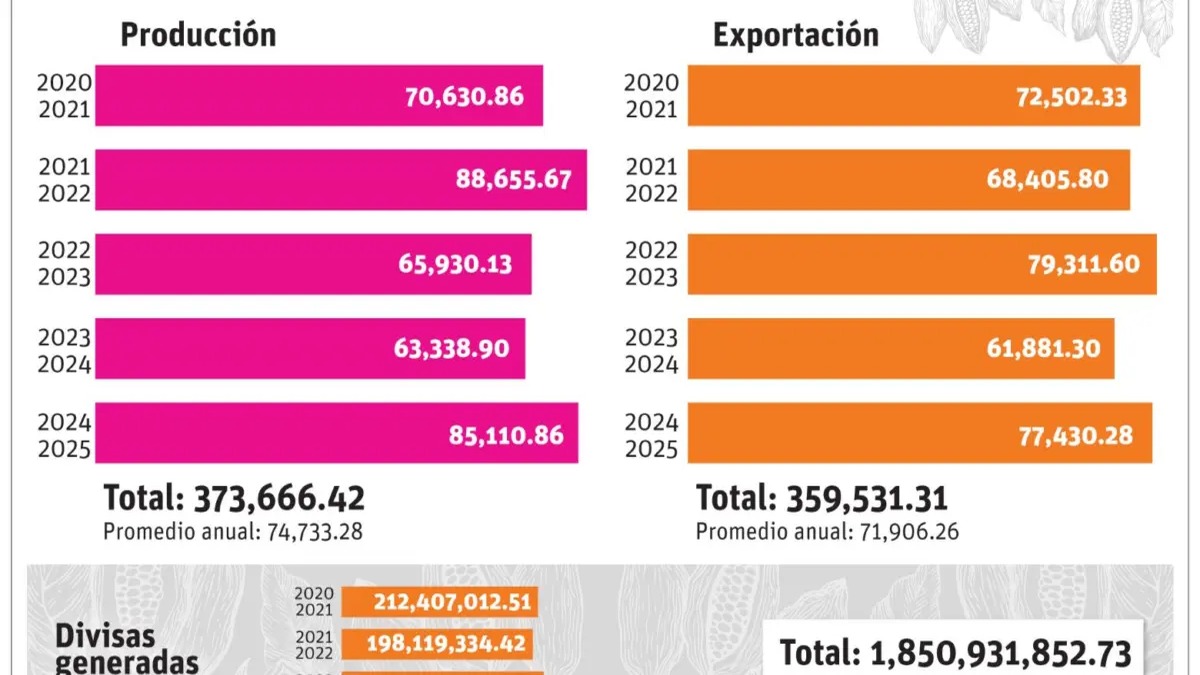 Renovación de Plantaciones de Cacao: Clave para Aumentar la Producción en República Dominicana