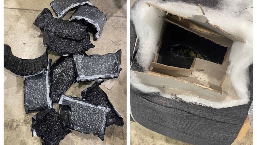 Incautan Marihuana en AILA Proveniente de Miami