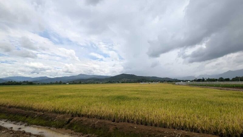 Retos y Oportunidades del Sector Agrícola en el Caribe