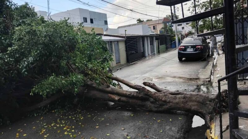 Santiago Enfrenta Inundaciones y Caída de Árboles tras Fuertes Lluvias