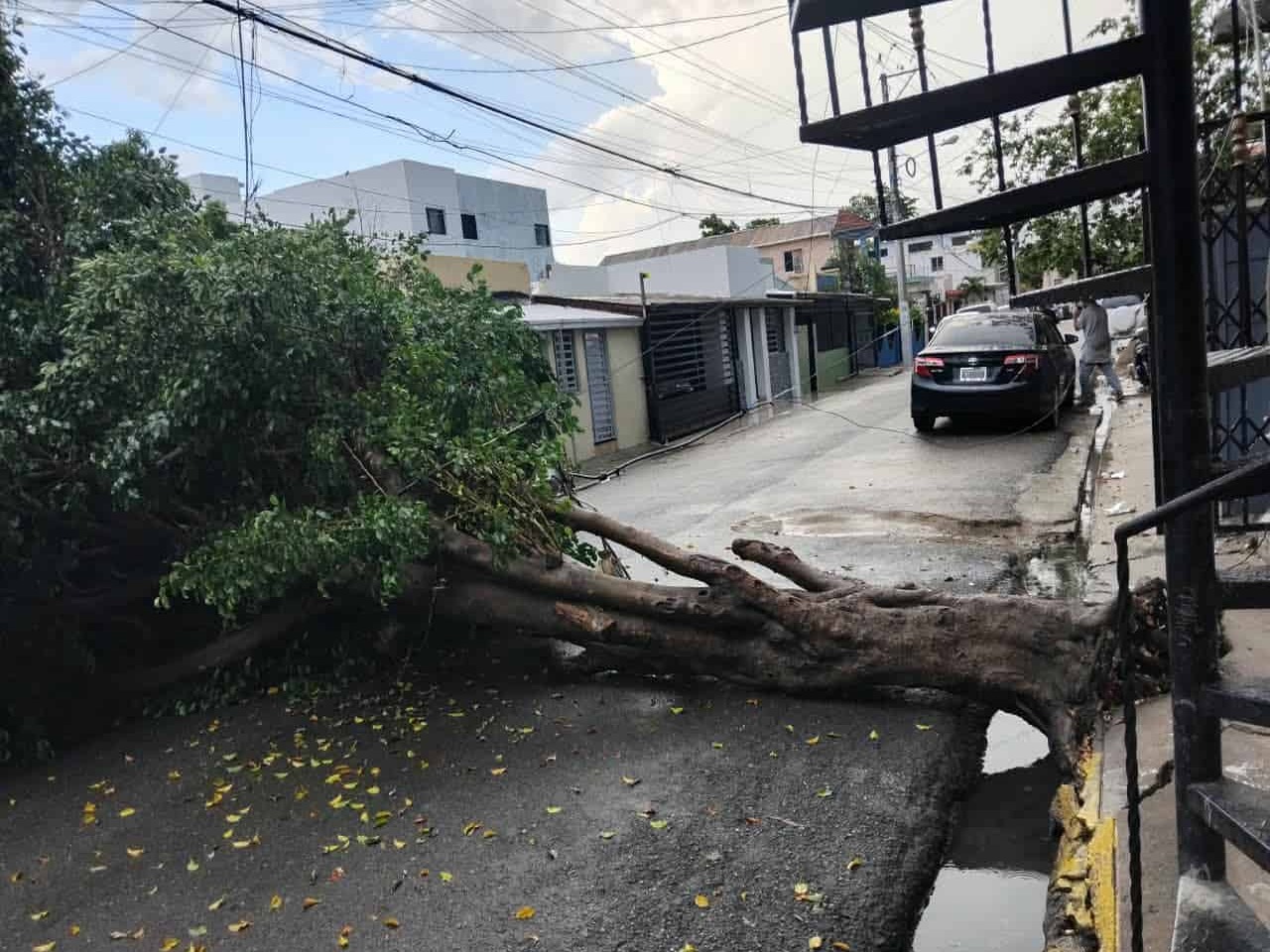 Santiago Enfrenta Inundaciones y Caída de Árboles tras Fuertes Lluvias