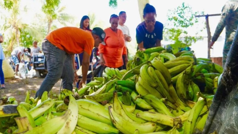 El Plátano: Del Campo a la Mesa con Precios en Aumento