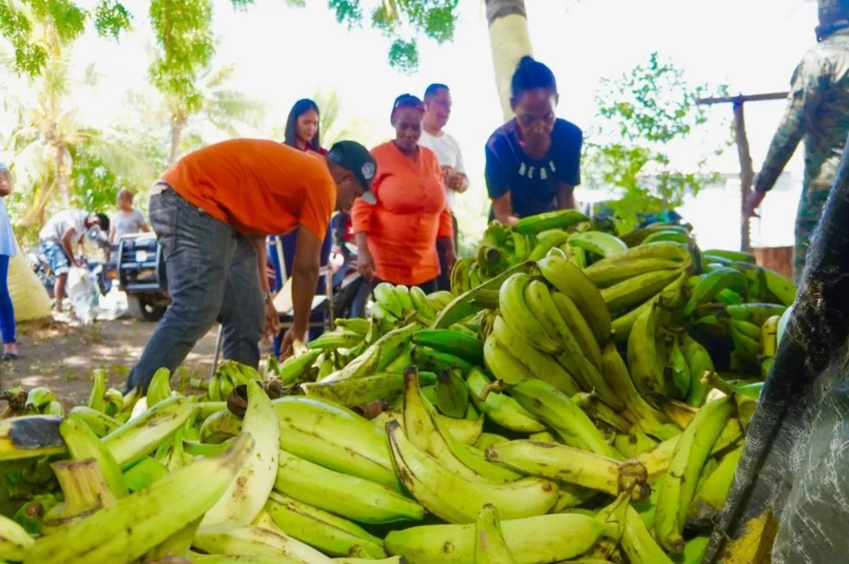 El Plátano: Del Campo a la Mesa con Precios en Aumento