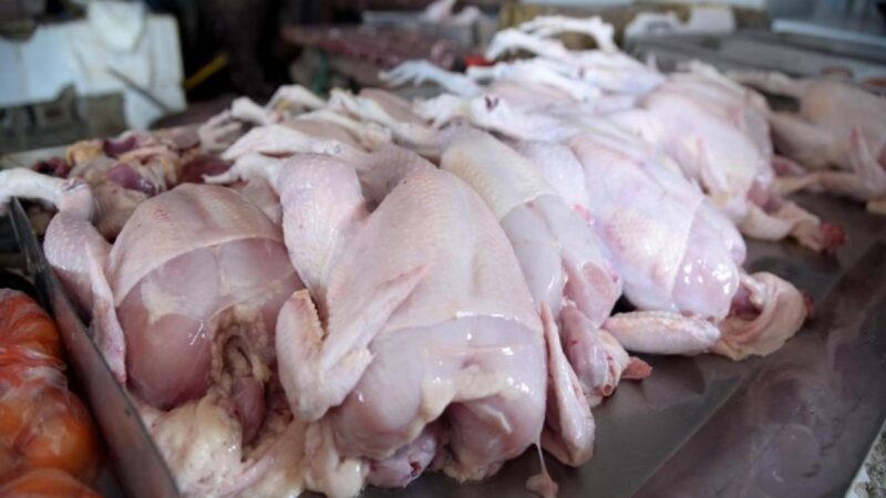 Incremento de Precios en Alimentos y Educación Impulsa la Inflación de Agosto