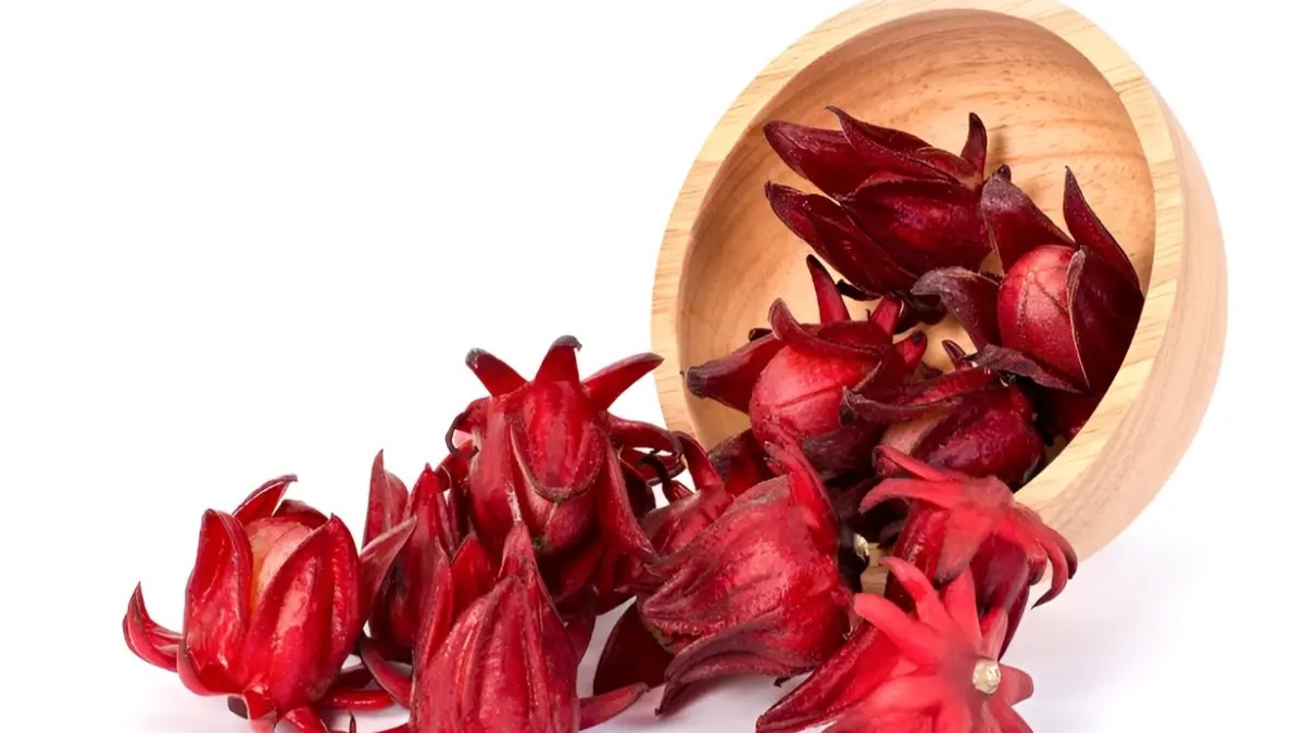 La Flor de Jamaica: Un Tesoro Gastronómico y Agroindustrial