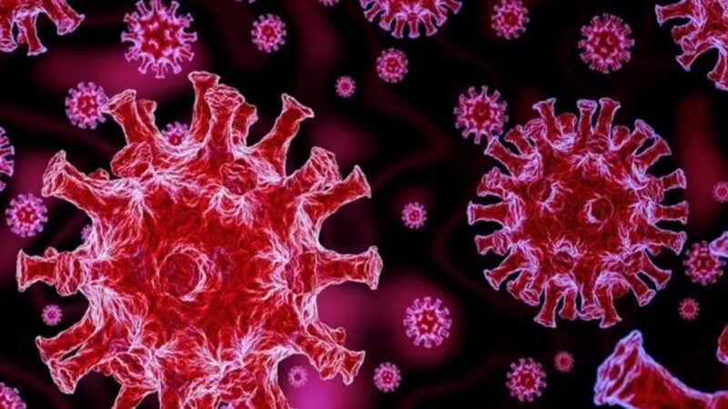 Aumentan Casos de COVID-19 en EE. UU.; Nueva York Refuerza Medidas de Prevención
