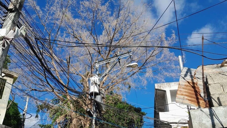 Vecinos Exigen Acción Urgente ante Peligro de Árbol Seco en La Joya