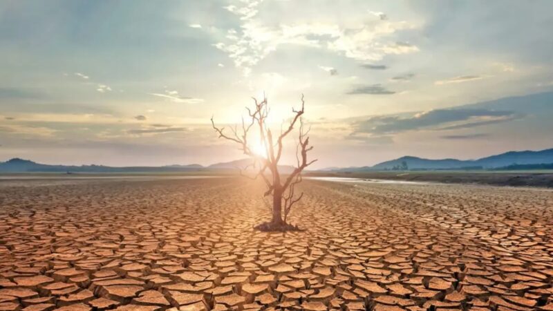 El Niño: Un Desafío Climático que Exige Mayor Adaptación