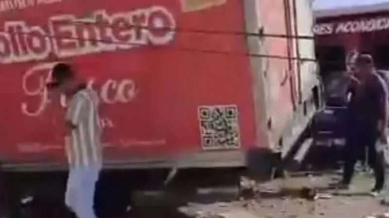 Camión de Pollo Impacta Vehículos en Taller de Azua