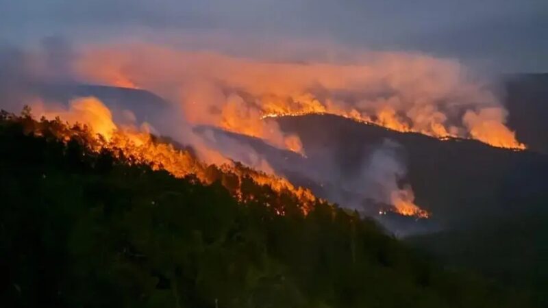 Incendios en Sierra de Bahoruco: Naturaleza y Actividades Humanas en el Ojo del Huracán