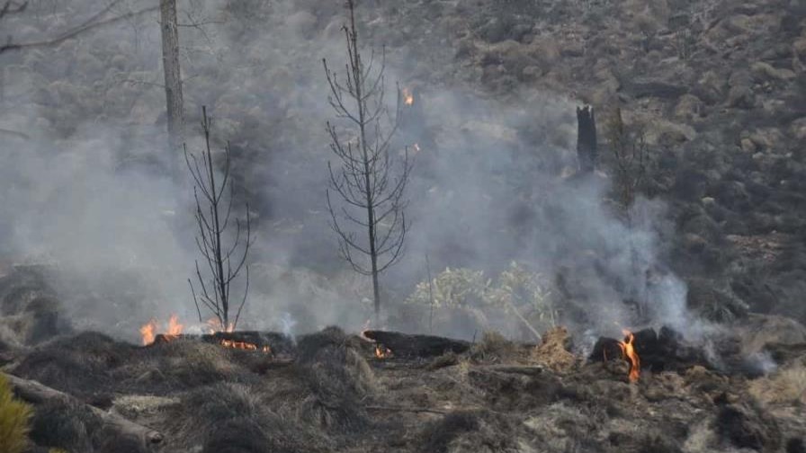 Incendios Forestales: Una Amenaza Silenciosa y Persistente