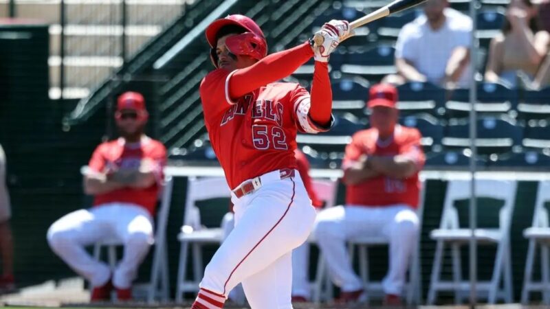 Tigres del Licey eligen a Hayden Álvarez como su primera selección en el draft de Lidom