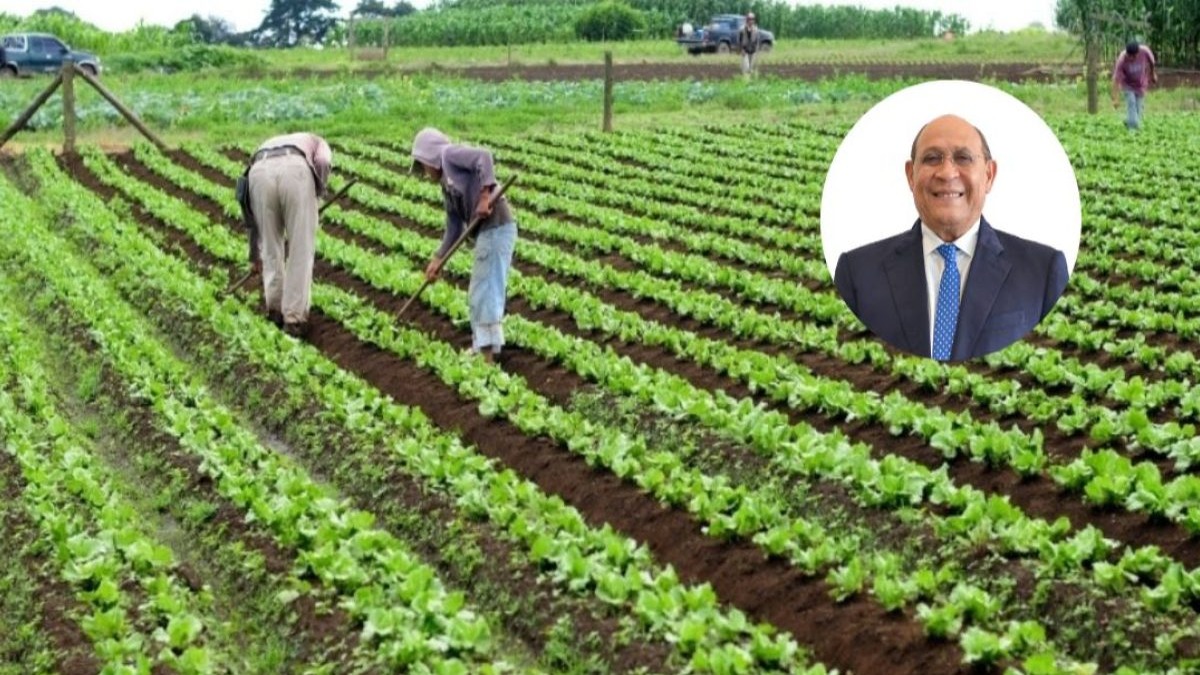 Transformación Tecnológica: El Futuro de la Agricultura Dominicana