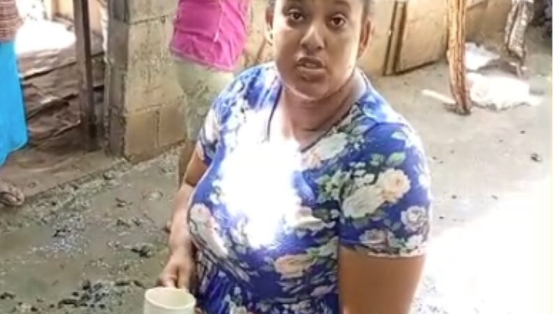 Congregación Niega Acusaciones de Maltrato a Menores en Fundación de Haina