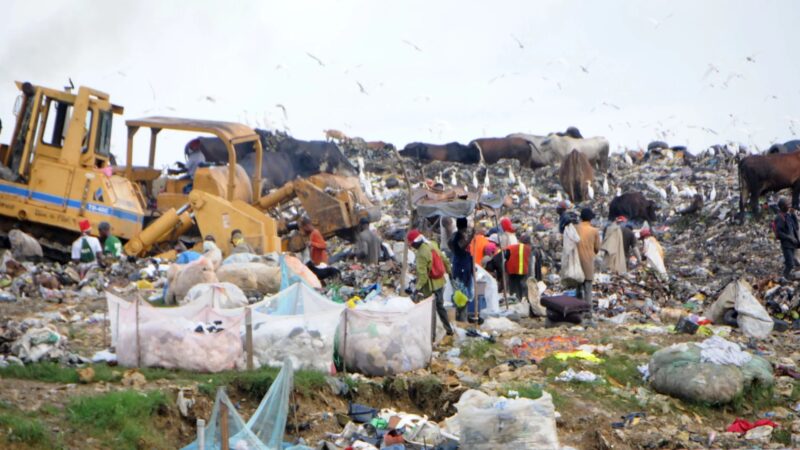 Santo Domingo Enfrenta Desafío Ambiental por Toneladas de Basura Diarias