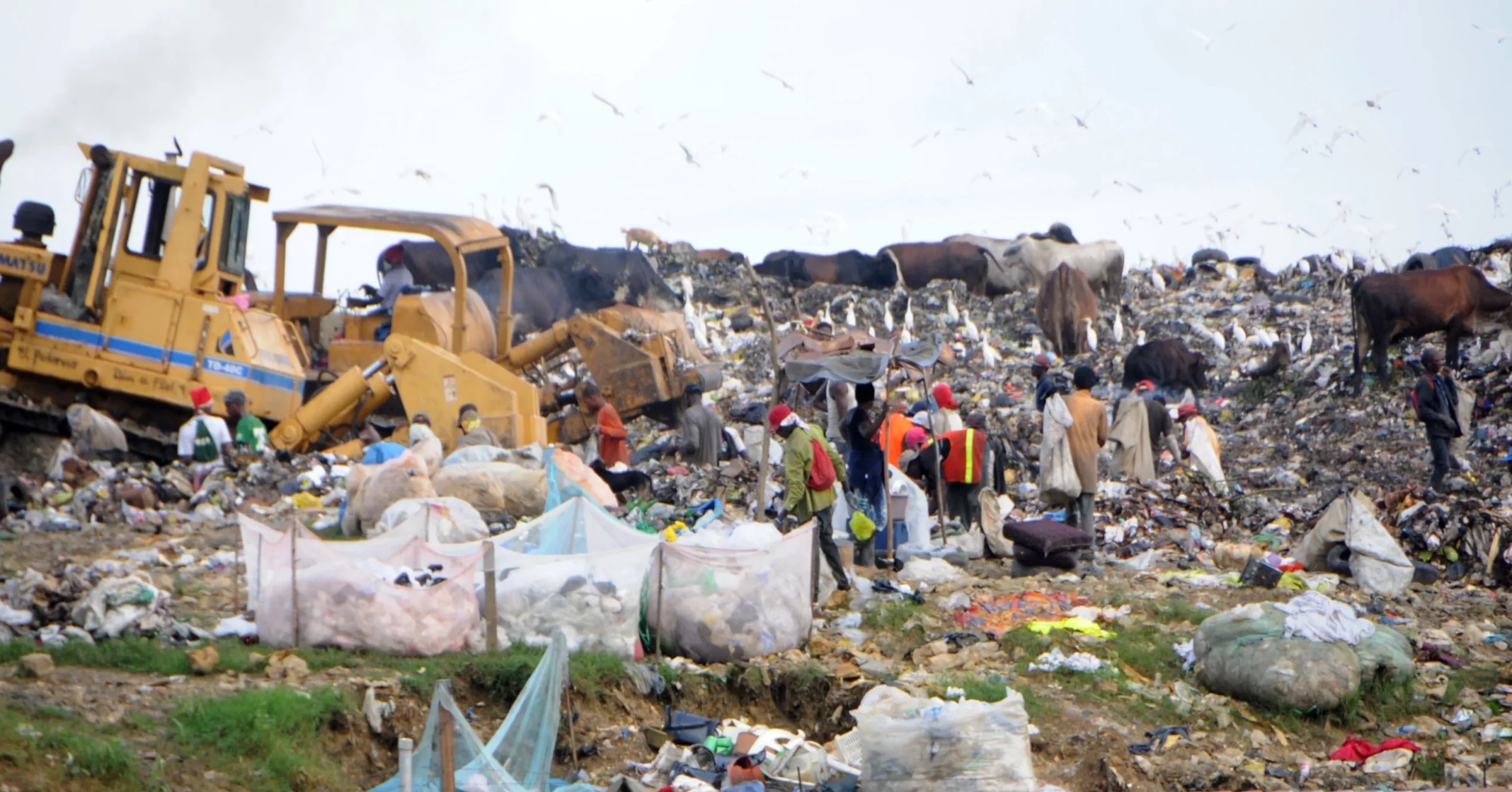 Santo Domingo Enfrenta Desafío Ambiental por Toneladas de Basura Diarias