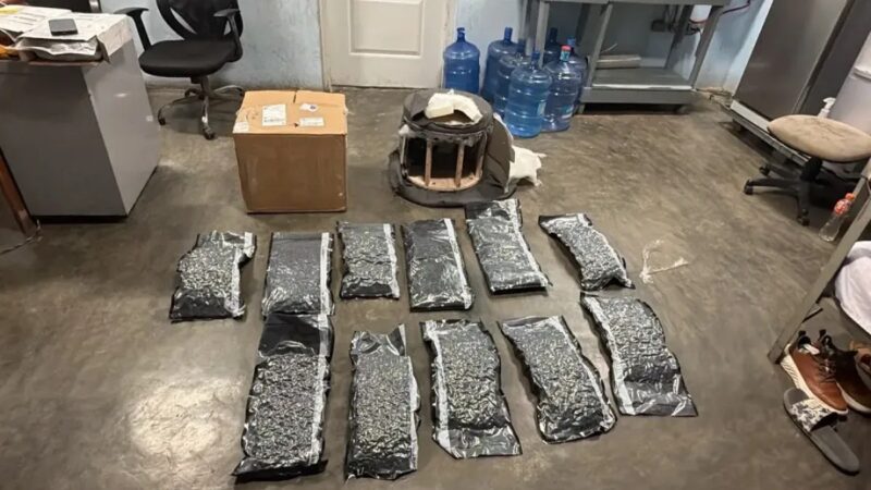 Descubren 11 Paquetes de Marihuana Ocultos en Mueble en el AILA