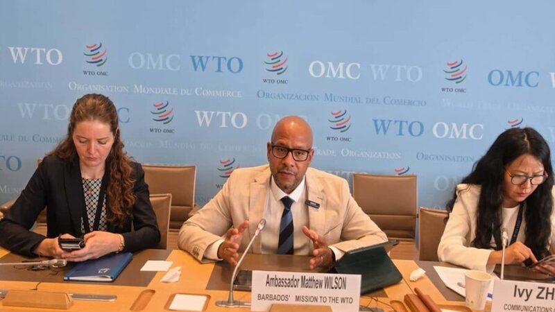 Desafíos de las MIPYMES en República Dominicana: Competitividad y Formalización