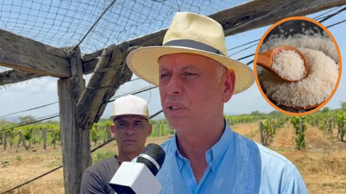 Fenarroz Advierte Desafíos del Sector Arrocero ante Presiones de EE.UU.