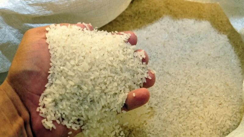 Producción e Importación de Arroz en República Dominicana para 2026