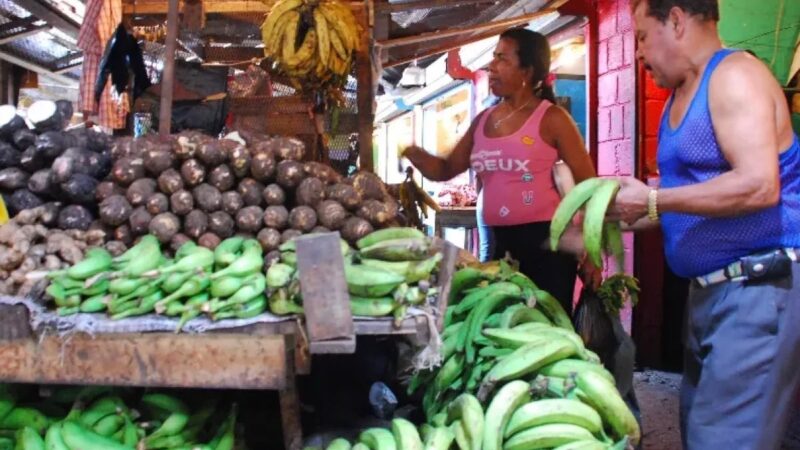 Aumento del precio del plátano a RD$50 por unidad debido a la sequía