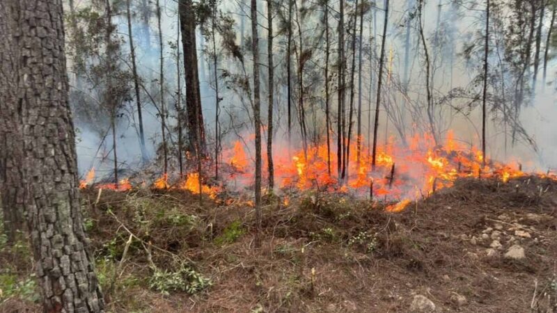 Controlado en un 90% el incendio en Sierra de Bahoruco