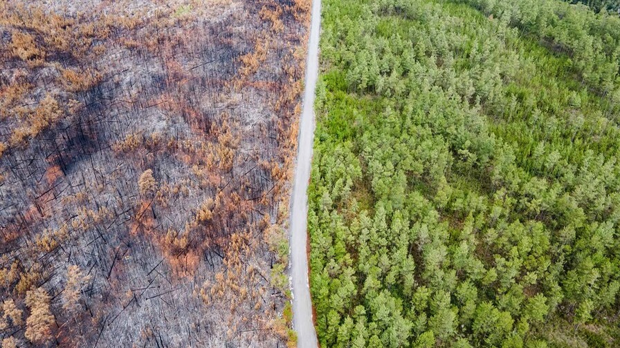 Observatorio Ambiental Exige Resultados Concretos en Lucha contra Daños Ecológicos