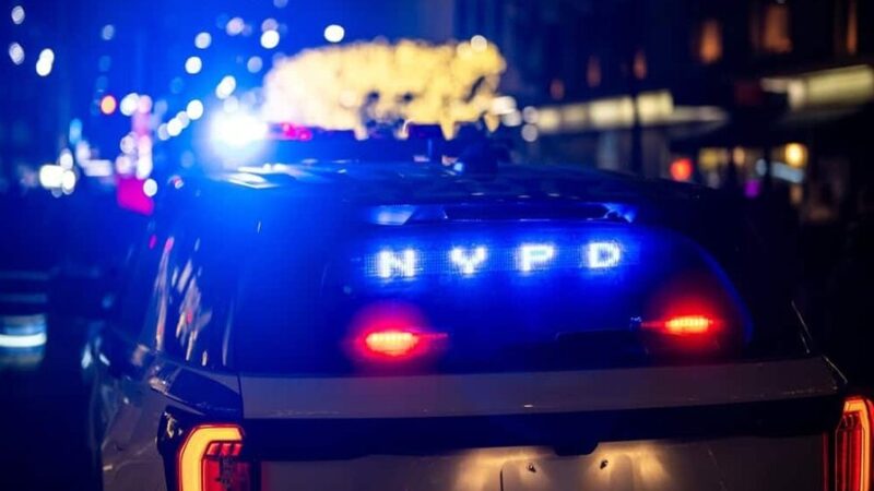 Policía de Nueva York Investiga Macabro Hallazgo en Brooklyn
